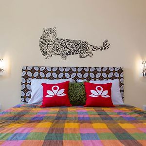 Chambre Standarde Lit King-Size